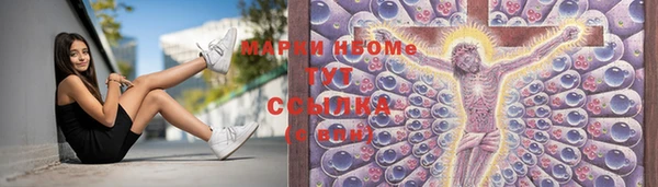 хмурый Верея