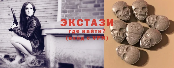 хмурый Верея