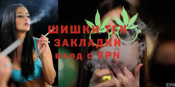 хмурый Верея