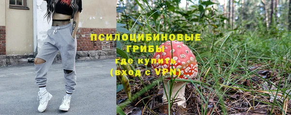 мдпв Пролетарск