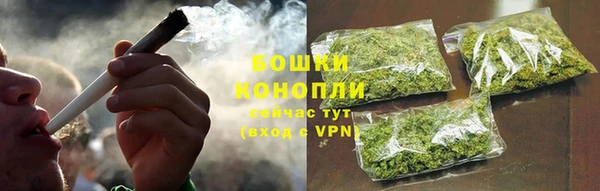 хмурый Верея
