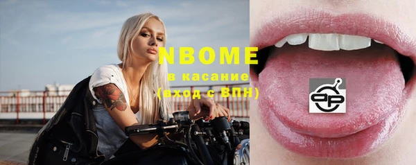 хмурый Верея