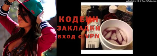 хмурый Верея