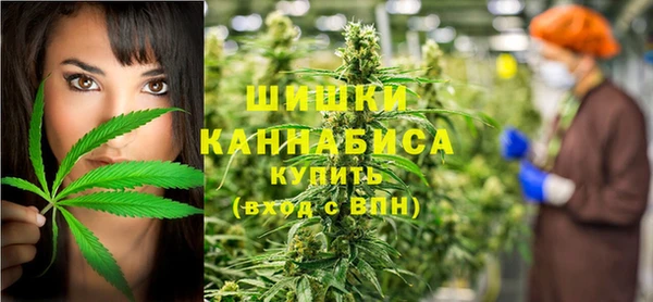 хмурый Верея