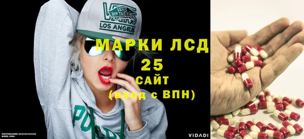 хмурый Верея
